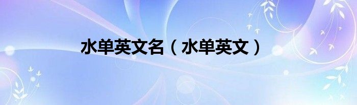 水单英文名（水单英文）