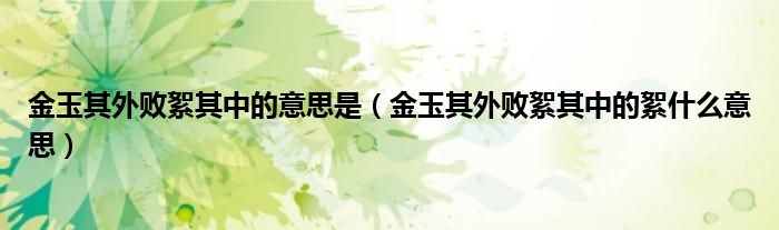 金玉其外败絮其中的意思是(金玉其外败絮其中的絮什么意思)