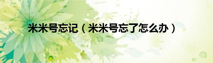 米米号忘记(米米号忘了怎么办)