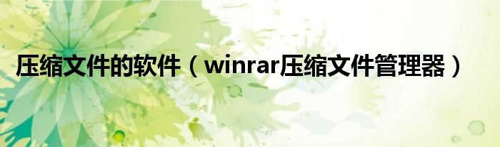 压缩文件的软件(winrar压缩文件管理器)