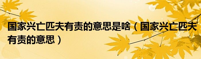 国家兴亡匹夫有责的意思是啥(国家兴亡匹夫有责的意思)