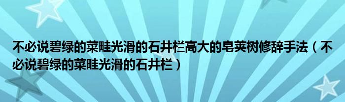 不必说碧绿的菜畦光滑的石井栏高大的皂荚树修辞手法(不必说碧绿的菜畦光滑的石井栏)