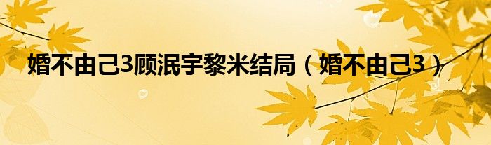 婚不由己3顾泯宇黎米结局(婚不由己3)