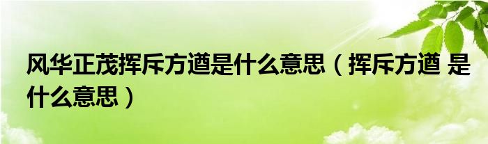 风华正茂挥斥方遒是什么意思(挥斥方遒 是什么意思)