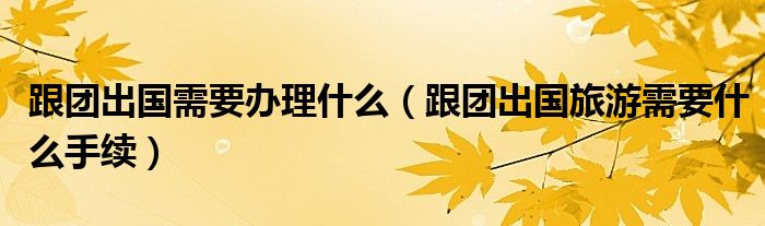 跟团出国需要办理什么(跟团出国旅游需要什么手续)