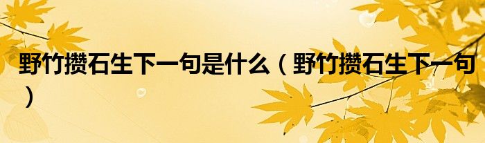 野竹攒石生下一句是什么(野竹攒石生下一句)