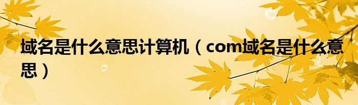 域名是什么意思计算机(com域名是什么意思)