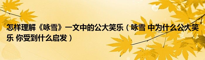 怎样理解《咏雪》一文中的公大笑乐(咏雪 中为什么公大笑乐 你受到什么启发)