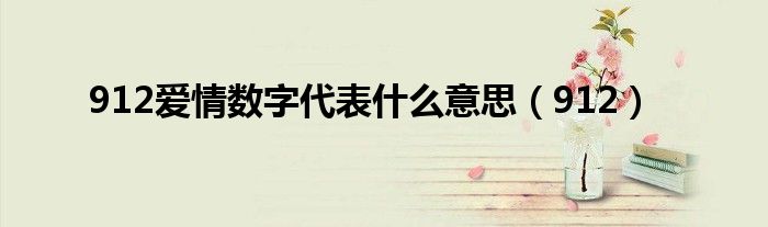 912爱情数字代表什么意思(912)