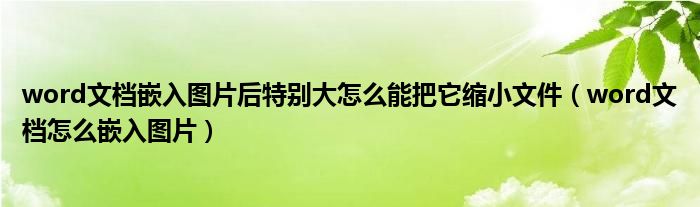 word文档嵌入图片后特别大怎么能把它缩小文件(word文档怎么嵌入图片)