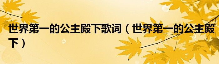 世界第一的公主殿下歌词(世界第一的公主殿下)