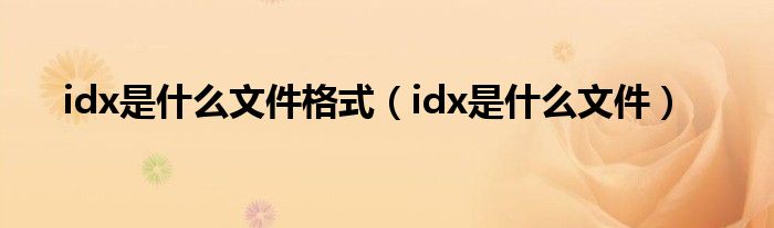 idx是什么文件格式(idx是什么文件)