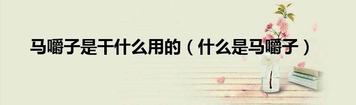马嚼子是干什么用的(什么是马嚼子)