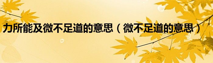 力所能及微不足道的意思(微不足道的意思)