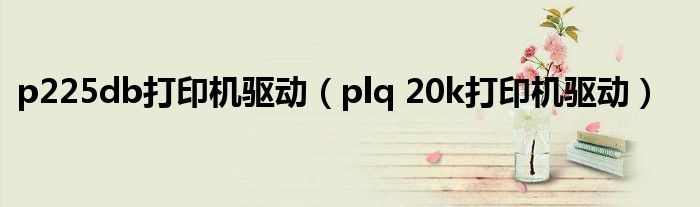 p225db打印机驱动(plq 20k打印机驱动)