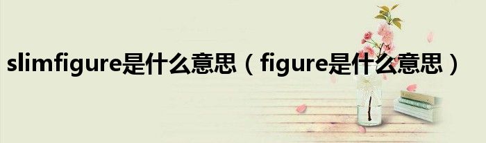 slimfigure是什么意思(figure是什么意思)