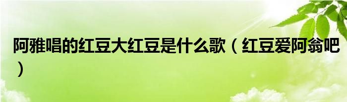 阿雅唱的红豆大红豆是什么歌(红豆爱阿翁吧)