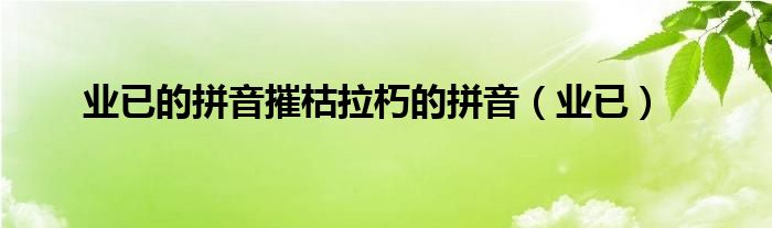 业已的拼音摧枯拉朽的拼音(业已)