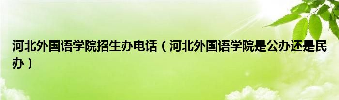 河北外国语学院招生办电话(河北外国语学院是公办还是民办)