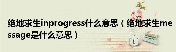 绝地求生inprogress什么意思(绝地求生message是什么意思)
