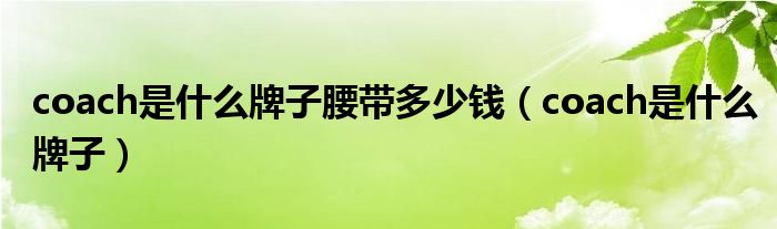 coach是什么牌子腰带多少钱(coach是什么牌子)