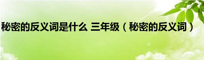 秘密的反义词是什么 三年级(秘密的反义词)