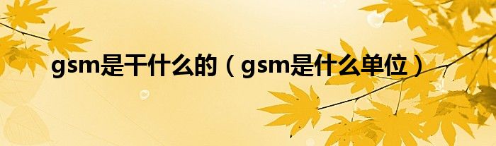 gsm是干什么的(gsm是什么单位)