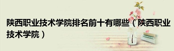 陕西职业技术学院排名前十有哪些(陕西职业技术学院)