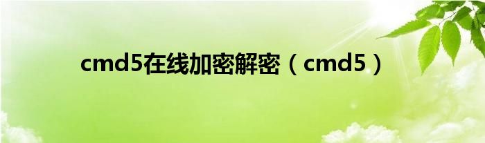 cmd5在线加密解密(cmd5)