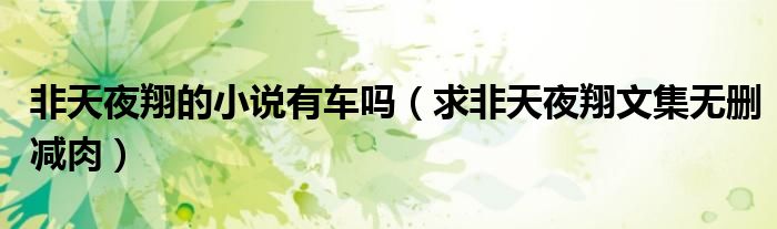 非天夜翔的小说有车吗(求非天夜翔文集无删减肉)