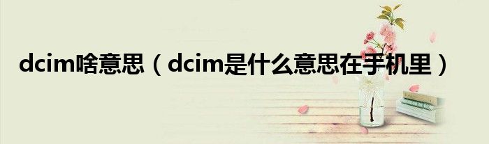dcim啥意思(dcim是什么意思在手机里)