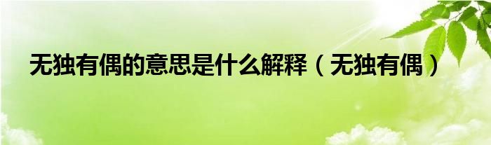 无独有偶的意思是什么解释(无独有偶)