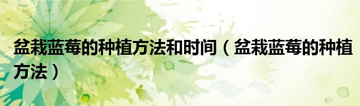 盆栽蓝莓的种植方法和时间(盆栽蓝莓的种植方法)