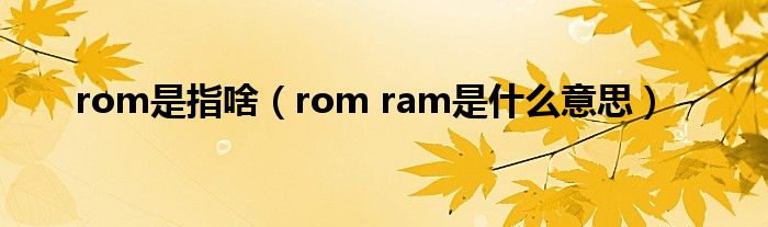 rom是指啥(rom ram是什么意思)