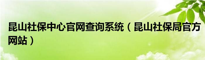 昆山社保中心官网查询系统(昆山社保局官方网站)
