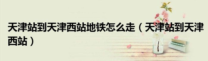 天津站到天津西站地铁怎么走(天津站到天津西站)