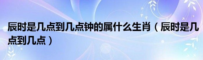 辰时是几点到几点钟的属什么生肖(辰时是几点到几点)