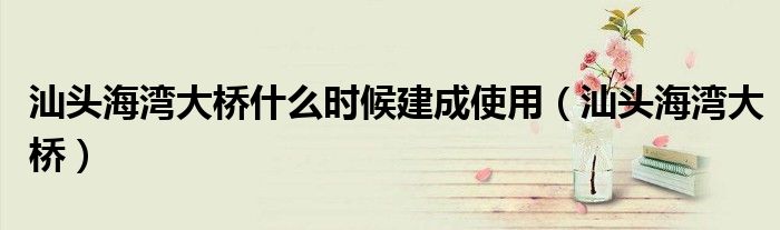汕头海湾大桥什么时候建成使用(汕头海湾大桥)