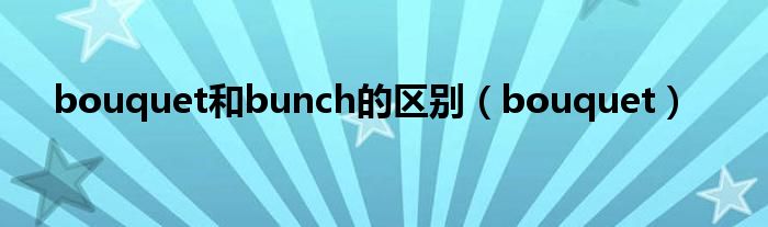 bouquet和bunch的区别(bouquet)