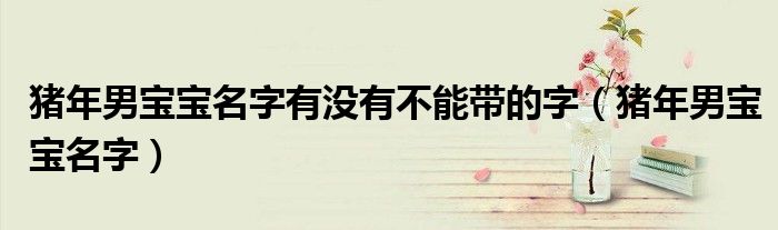猪年男宝宝名字有没有不能带的字(猪年男宝宝名字)