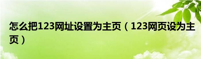 怎么把123网址设置为主页(123网页设为主页)