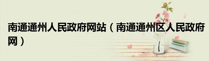 南通通州人民政府网站(南通通州区人民政府网)