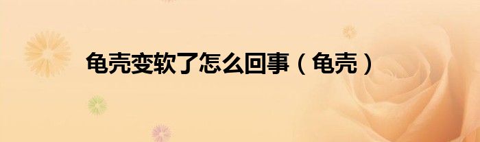 龟壳变软了怎么回事(龟壳)