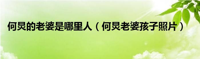 何炅的老婆是哪里人(何炅老婆孩子照片)