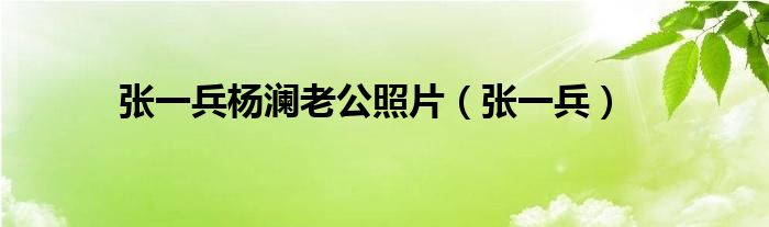 张一兵杨澜老公照片(张一兵)