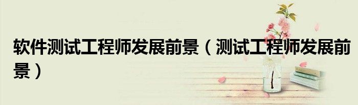 软件测试工程师发展前景(测试工程师发展前景)