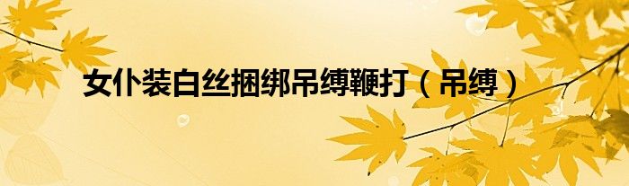 女仆装白丝捆绑吊缚鞭打(吊缚)