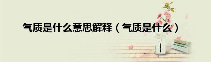 气质是什么意思解释(气质是什么)