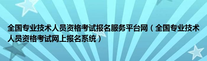 全国专业技术人员资格考试报名服务平台网(全国专业技术人员资格考试网上报名系统)