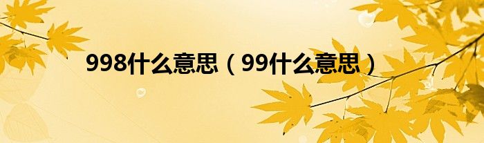 998什么意思(99什么意思)